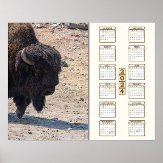 Affiche 2024 - "Buffalo"