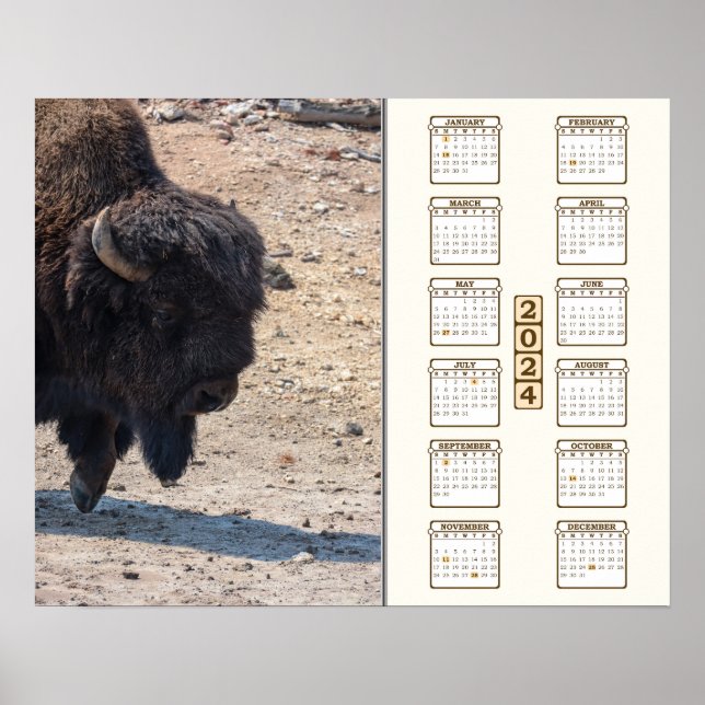 Affiche 2024 - "Buffalo" (Devant)