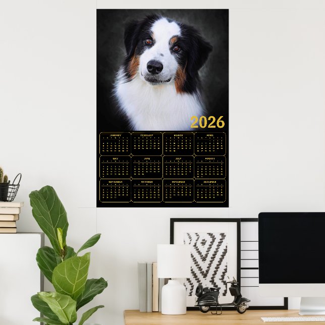 Affiche 2026 Australian Shepherd Calendar  (Bureau à domicile)