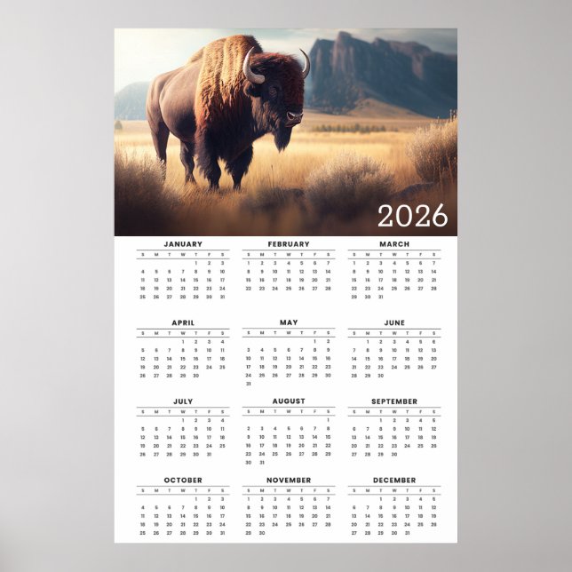 Affiche 2026 Bison & Mountain Landscape Calendar (Devant)