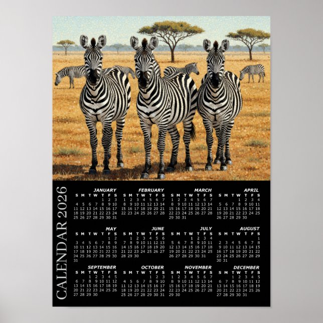 Affiche 2026 Calendar, Zebras, African Safari, Africa (Devant)