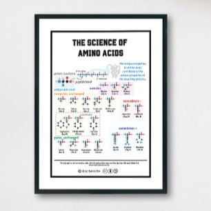 Affiche 20 acides aminés avec ses caractéristiques