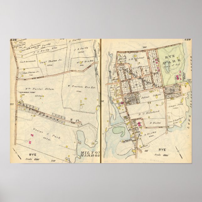 Affiche 238239 Rye (Devant)