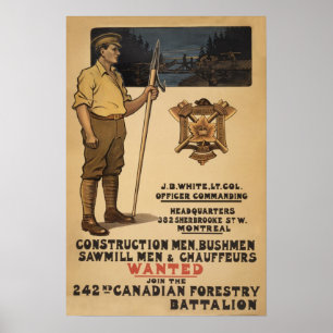 Affiche 242nd Sylviculture canadienne Battalion1915