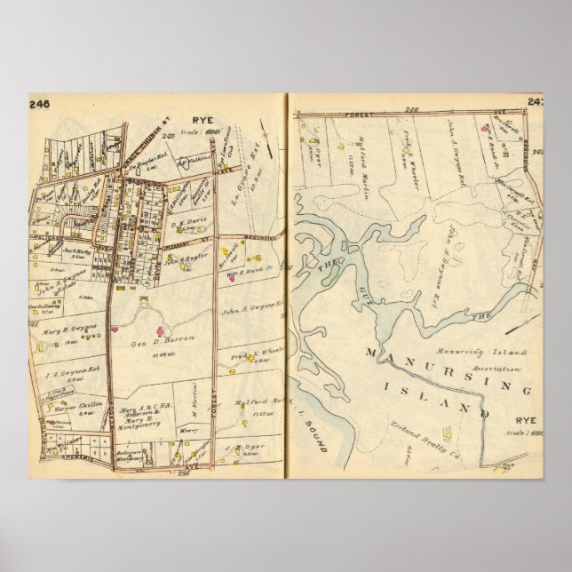 Affiche 246247 Seigle (Devant)