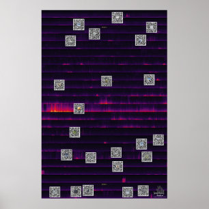 Affiche 24 Heures d'un pack Wolf Yellowstone