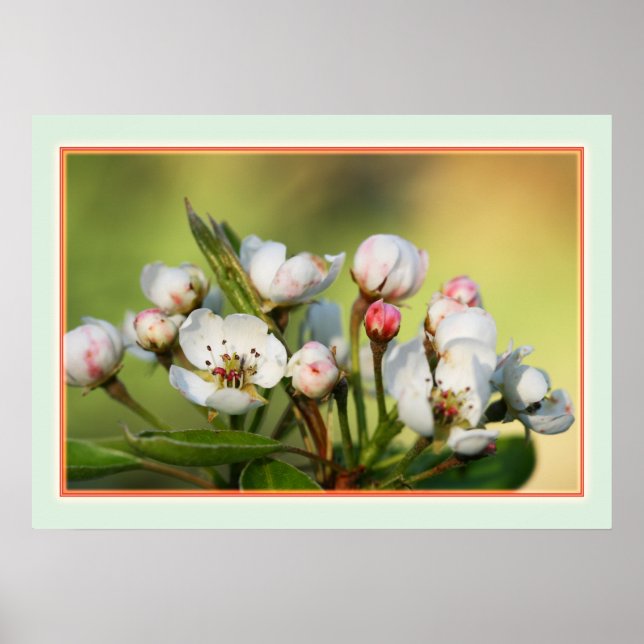 Affiche 28 po x 20 po, papier d'affiche de valeur (Matte) (Devant)