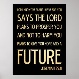 AFFICHE 29:11