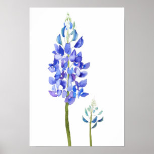 Affiche 2 aquarelle bleu bleu et pourpre