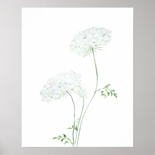 Affiche 2 blanc Queen Ann Lace aquarelle