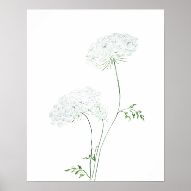 Affiche 2 blanc Queen Ann Lace aquarelle (Devant)