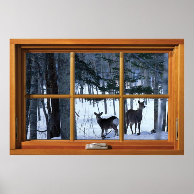 Affiche 2 Cerfs dans la fenêtre de neige hivernale Illusio (Devant)