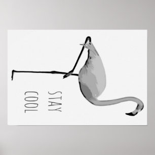 Affiche #2 de Flamant rose