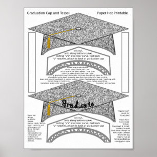 Affiche 2 Graduation Cap Argent Papier Casquettes Graduate