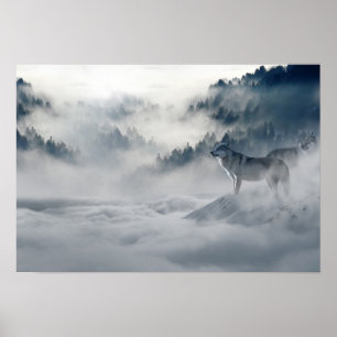 Affiche 2 loups de neige dans les montagnes d'hiver  Photo