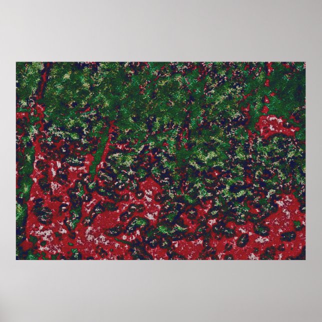 Affiche 2b004 AUTUMNfoliagedifcanvasartb- (Devant)