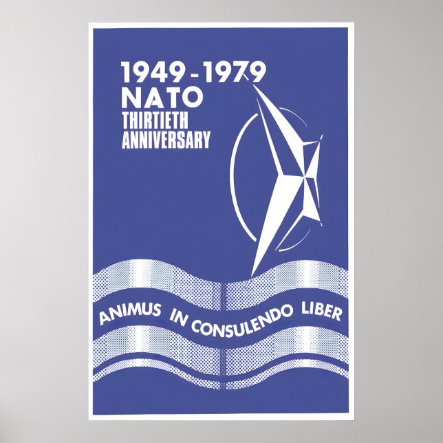 Affiche 30 ans OTAN Animus in consulendo liber (Devant)