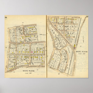 Affiche 36-37 Plaines blanches