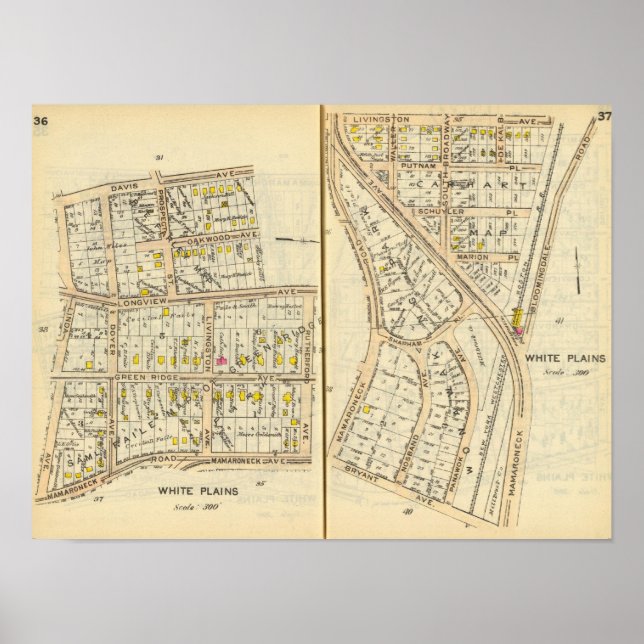Affiche 36-37 Plaines blanches (Devant)