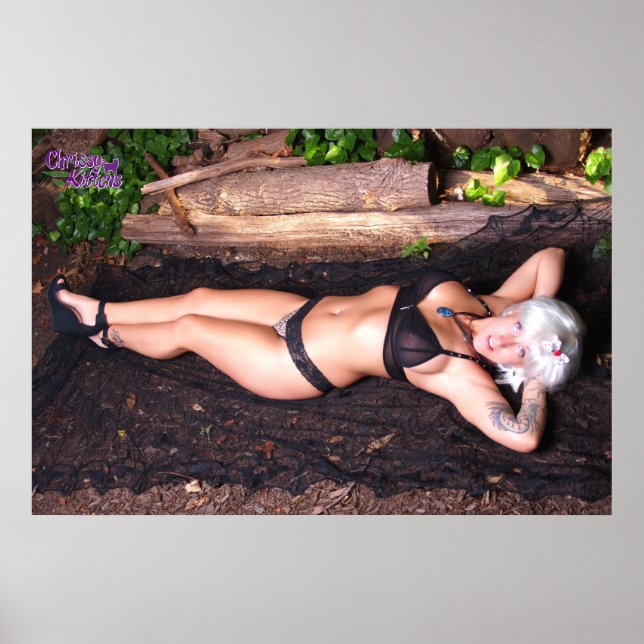 Affiche 36" x 24" Chrissy Kittens Par Le Journal (Devant)