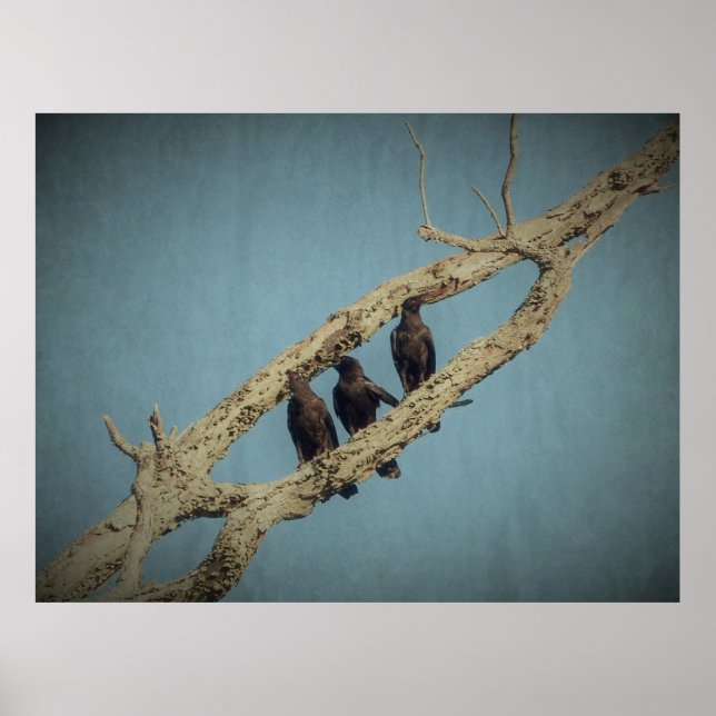 Affiche 3 Crows (Devant)