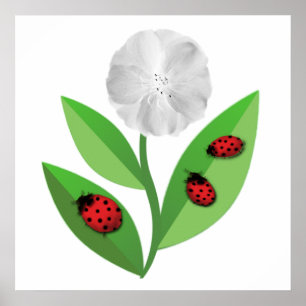 Affiche 3 Ladybugs