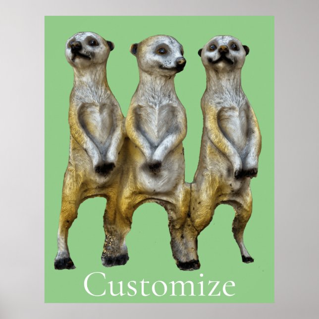 Affiche 3 Meerkats debats Thunder_Cove (Devant)