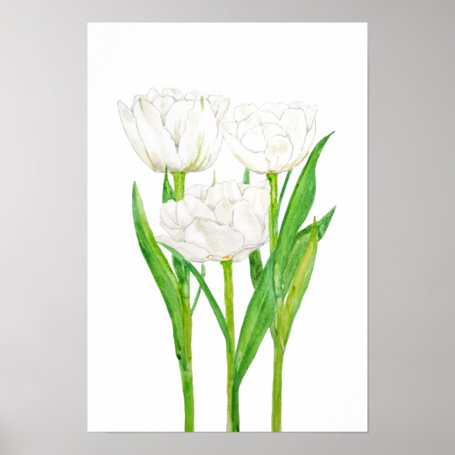 Affiche 3 tulipes blanches aquarelle peinture (Devant)