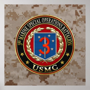 Affiche 3ème MSOB [3D]