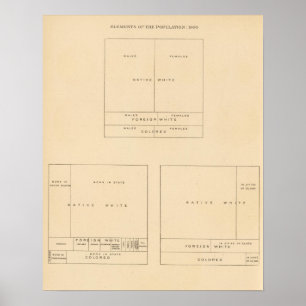 Affiche 41 Elements of population 1900