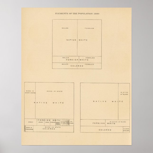Affiche 41 Elements of population 1900 (Devant)