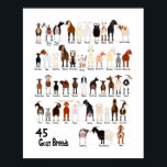 Affiche 45 breeds of goats chart<br><div class="desc">45 breeds of goats chart poster.</div>