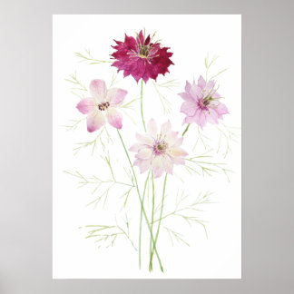 Affiche 4 fleurs de fleur de magenta nigella rose fleur de
