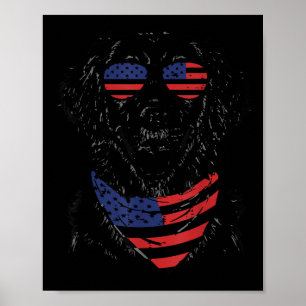 Affiche 4 juillet Chien Retriever doré Mignon Patriote Hom