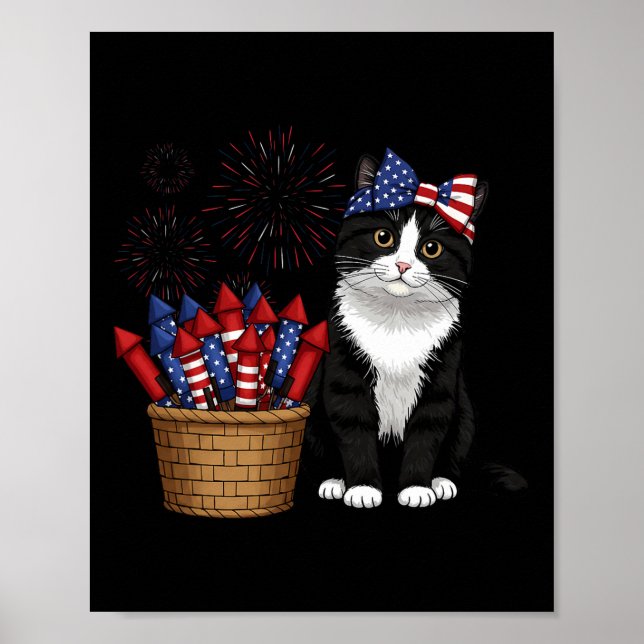 Affiche 4 juillet Conception De Chat Et Feux D'Artifice Po (Devant)