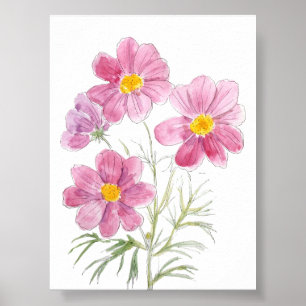 Affiche 4 magenta cosmos encre de fleur et aquarelle