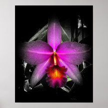 4x5 Ratio Black Orchid Print Img5506