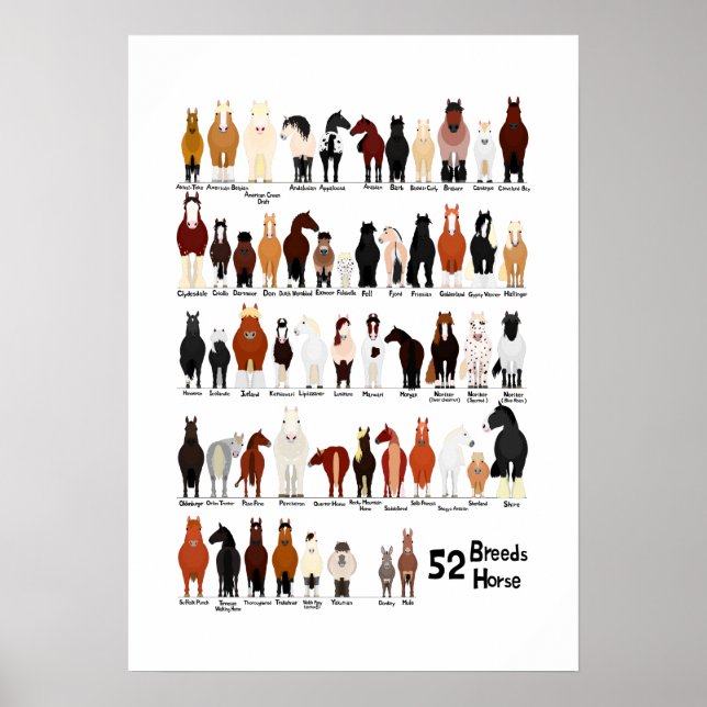Affiche 52 horse breeds chart (Devant)