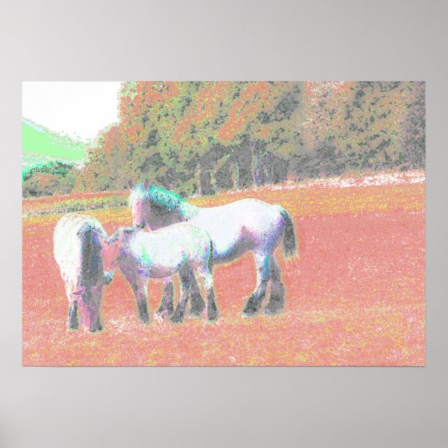 AFFICHE 53 (Devant)