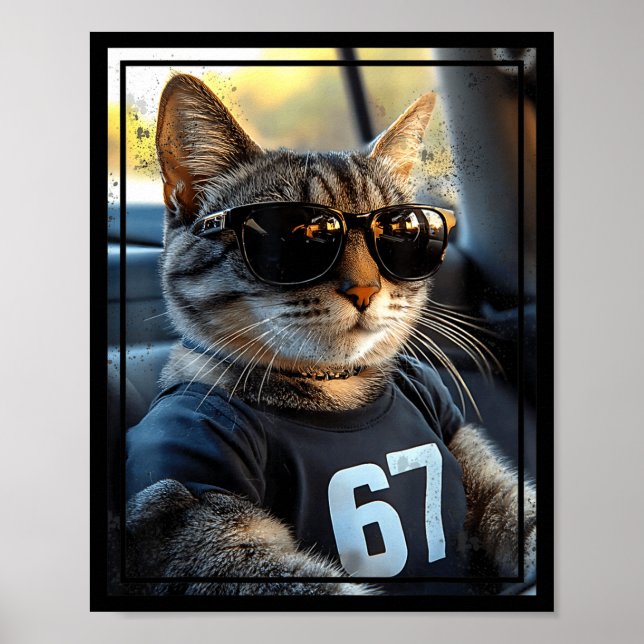 Affiche 67 And Still Cool Funny Birthday Meme Cat  (Devant)