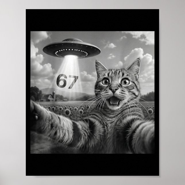 Affiche 67 Cat Selfie With Alien Ufos Funny Cat Six Seven  (Devant)