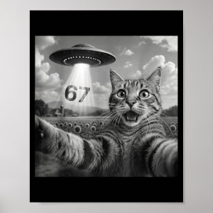 Affiche 67 Chat Selfie Avec Des Ufos D'alien Drôle Chat Si
