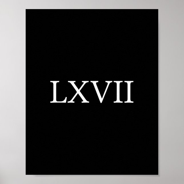 Affiche 67 History Meme Six Seven Historian Funny History  (Devant)
