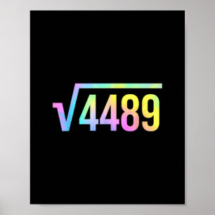 Affiche 67 Mème d'argot Tie Dye drôle racine carrée 4489 M