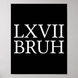 Affiche 67 Mème d'histoire Six Sept Bruh Prof d'histoire d