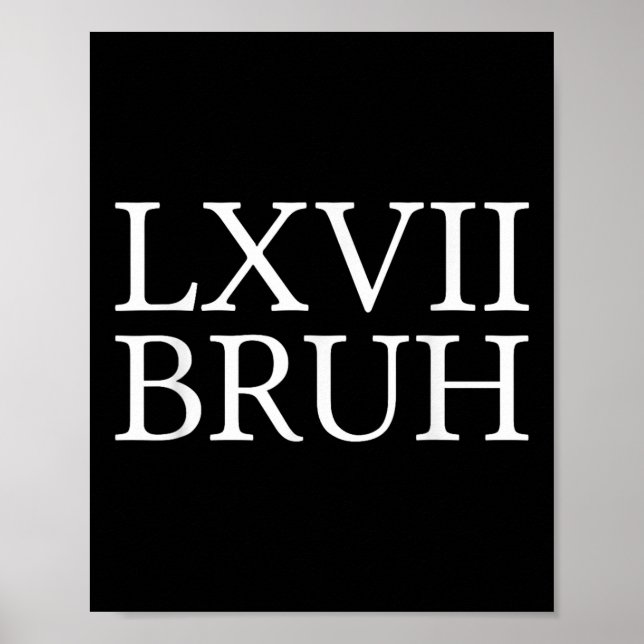 Affiche 67 Mème d'histoire Six Sept Bruh Prof d'histoire d (Devant)