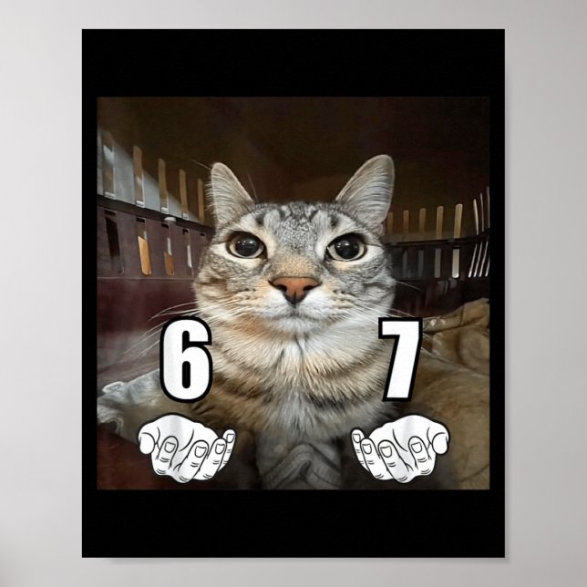 Affiche 67 Meme Drôle Chat Six Sept Meme 6 7  (Devant)