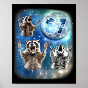 Affiche 67 Meme Trois Raton Laveur Hurlement à la Lune 67