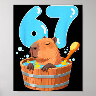 Affiche 67 Six Seven 6-7 Capybara Drôle Ado Enfants Capyba