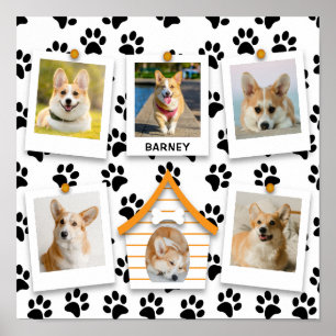 Affiche 6 Nom de Collage Photo Maison de Chien Empreintes